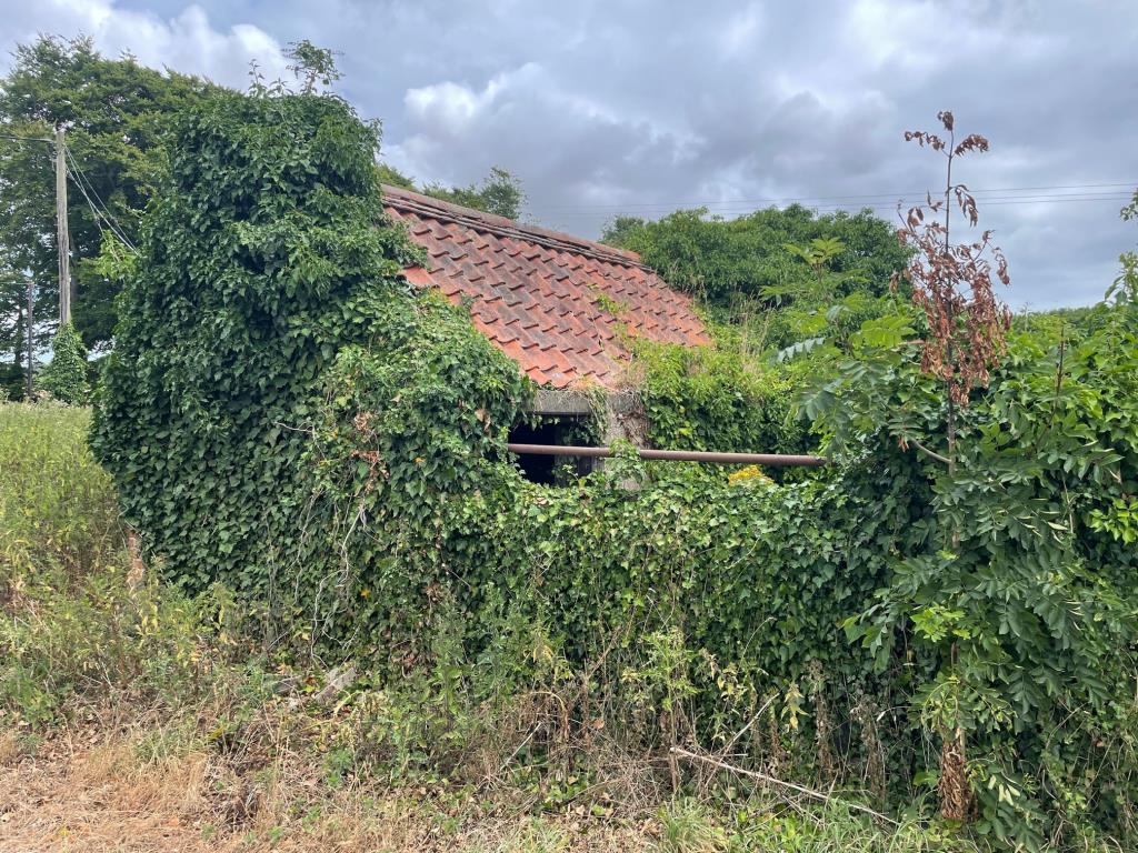 Lot: 56 - DETACHED BUILDING AND LAND -